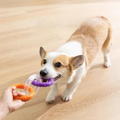 Tugev tirimismänguasi koertele