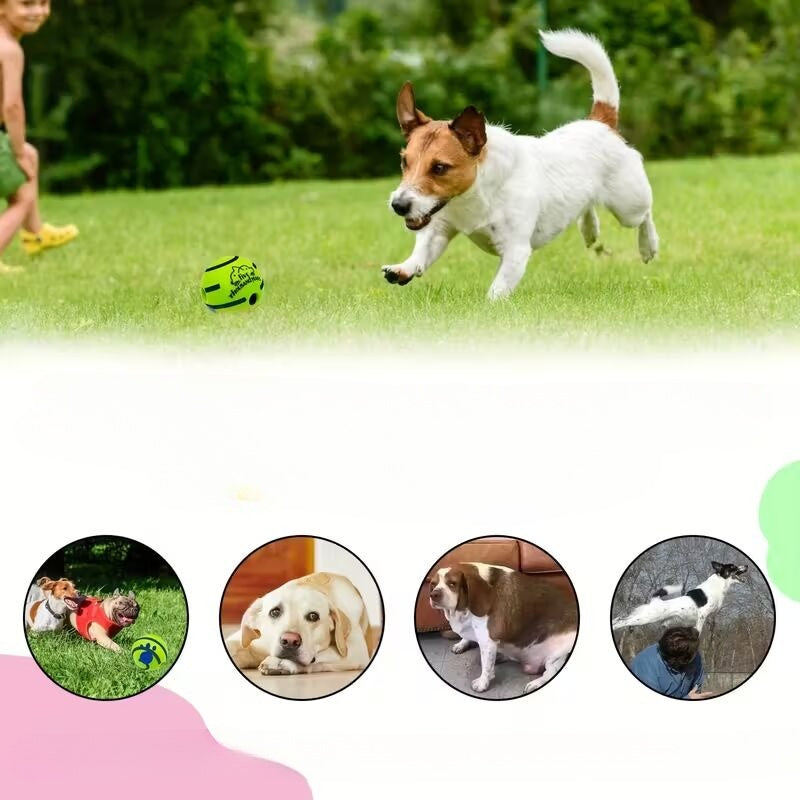 Automaatne „Voice Ball“ koerte mänguasi (ilma patareideta)