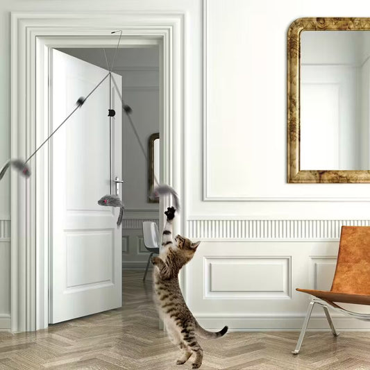 Riputatavad interaktiivsed kassimänguasjad (2 tk)