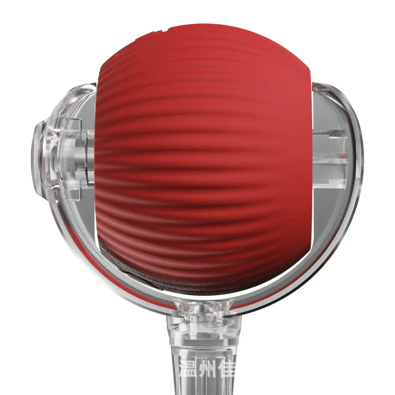 Interaktiivne sabaga mängupall koertele