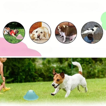 Interaktiivne närimismõistatus koertele peidetud maiusega