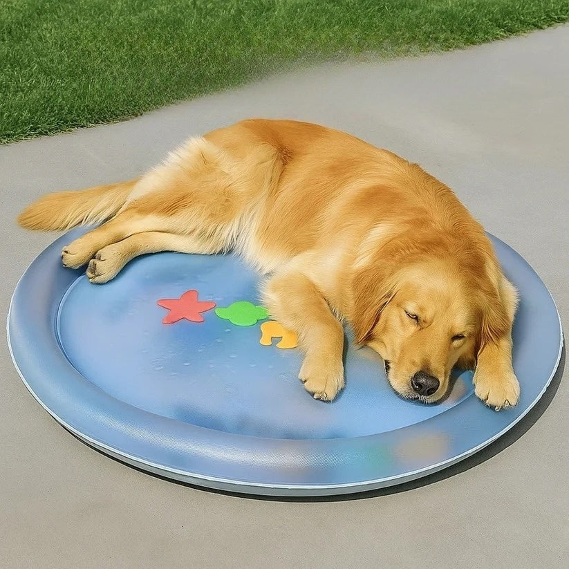 Jahutav mängumadrats koertele