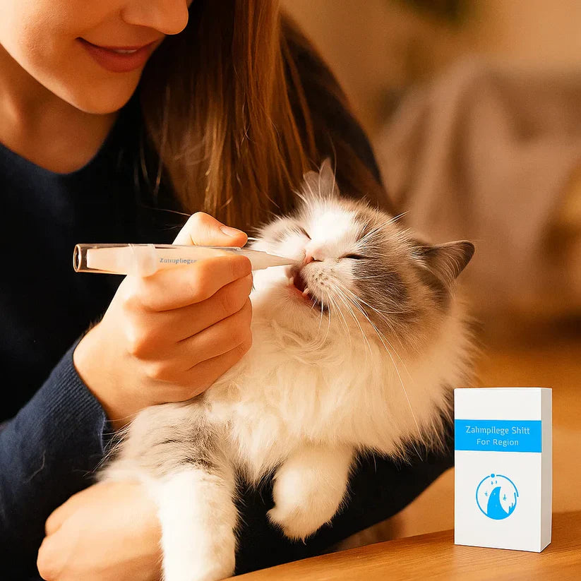 Kasside hammaste hooldus­pulk