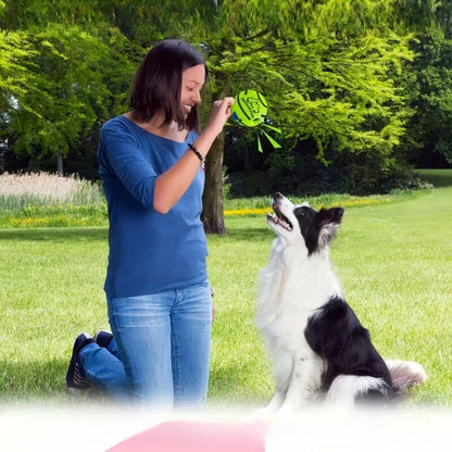 Automaatne „Voice Ball“ koerte mänguasi (ilma patareideta)