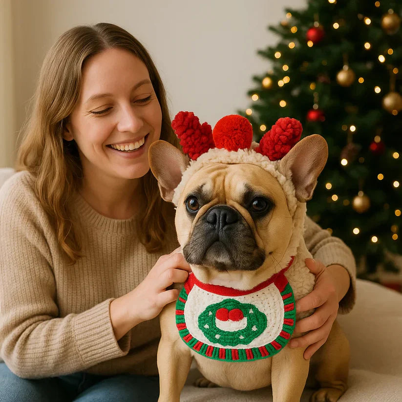 Jõuluriided koertele