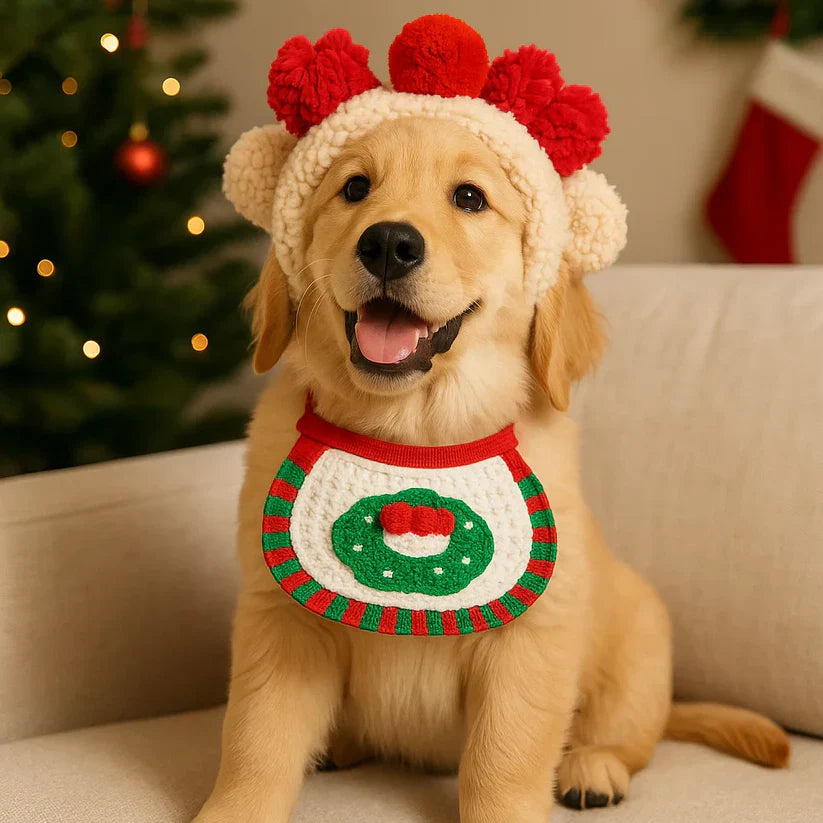 Jõuluriided koertele