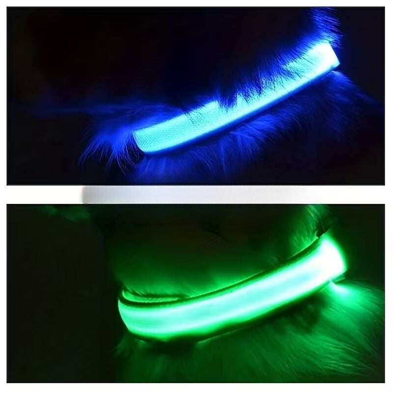 Reguleeritava valgusega koerte kaelarihm – turvalisteks õhtusteks jalutuskäikudeks