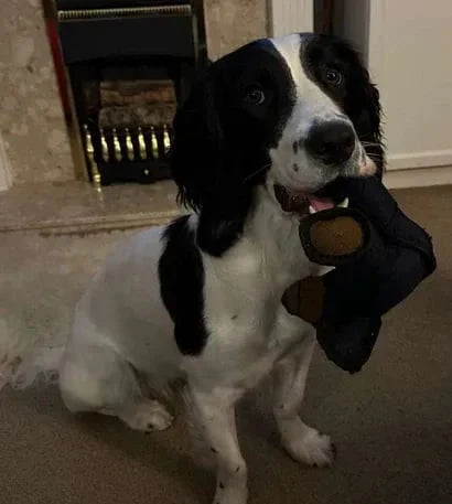 Eriti vastupidav koeramänguasi – loodud tugevatele närijatele