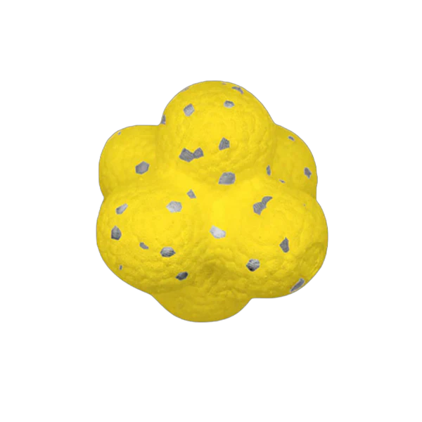 Tugev põrkav pall koertele stressi vähendamiseks