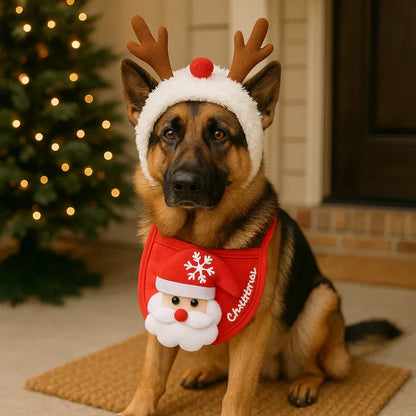 Jõuluriided koertele