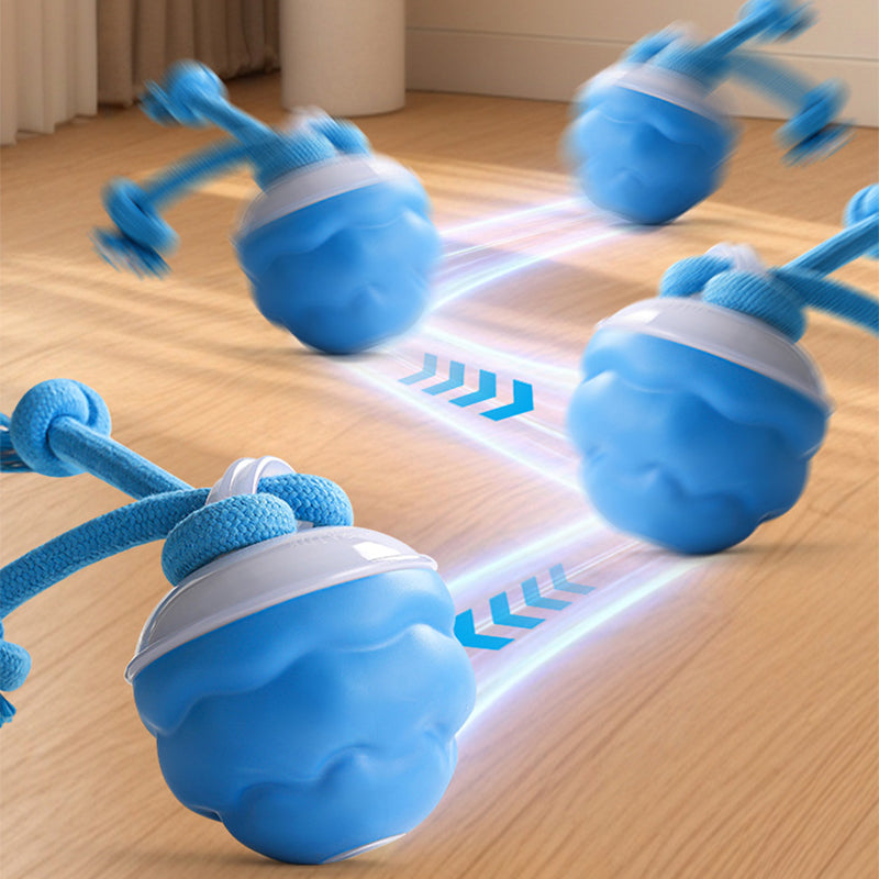 Interaktiivne rahustav mängukera koertele